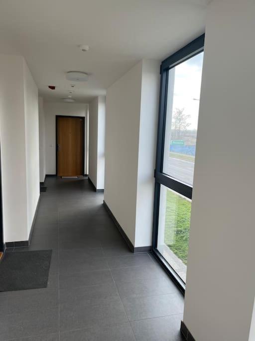 Apartment Holesovice,balkon,garaz
